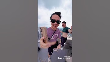 Wait for It… 360 Cameras Don’t Miss ANYTHING  #360camera #qoocam3ultra  #kandao