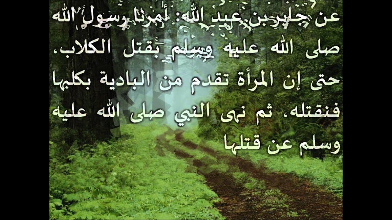 الطريق إلى علم أصول الفقه06 - أسئلة وتطبيقات على ما سبق- عامر بهجت