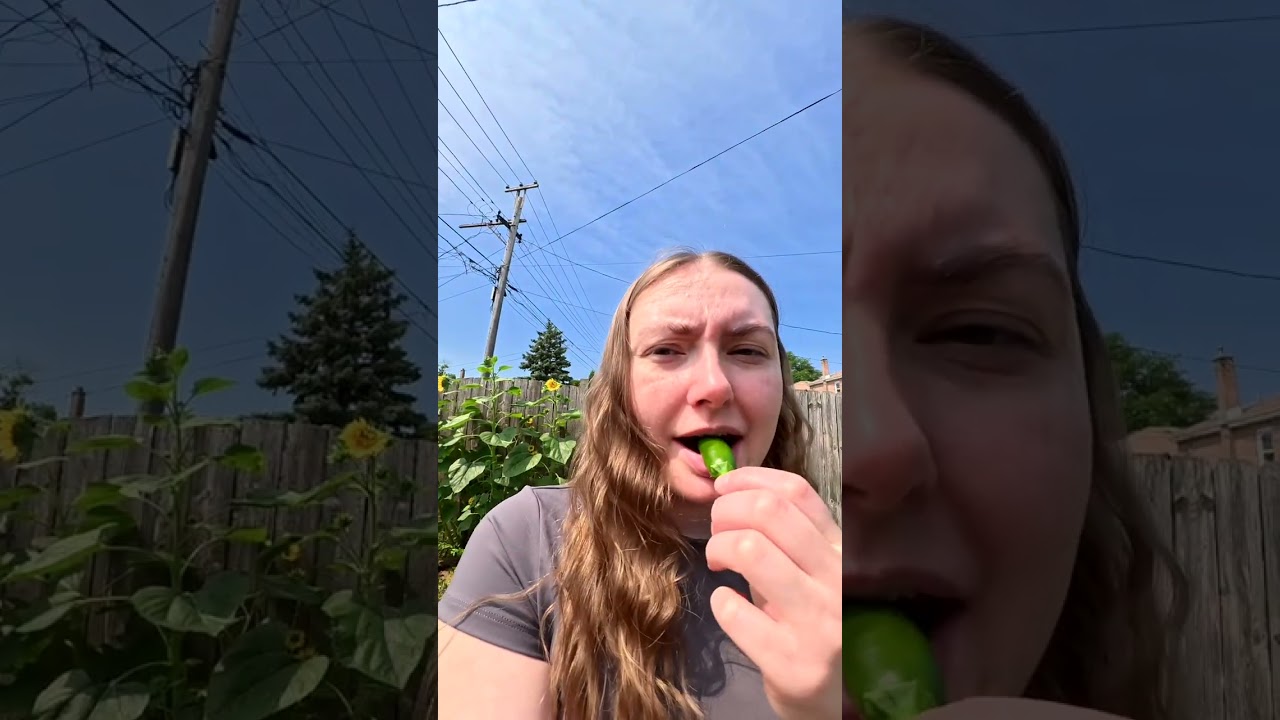 A July garden update!