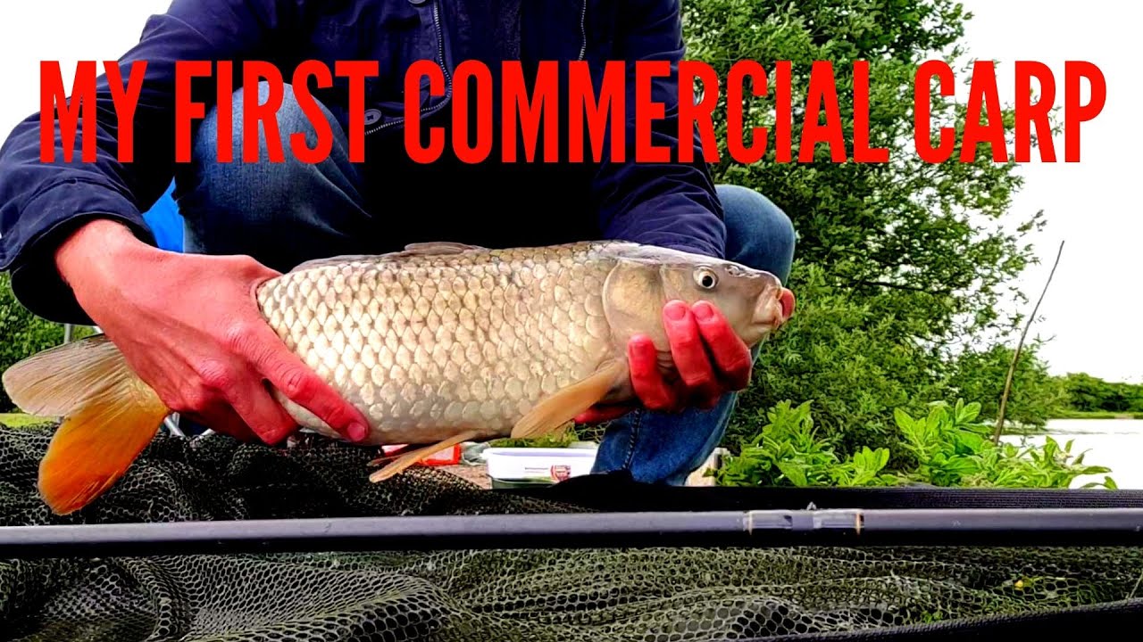 Carp Fishing in London
