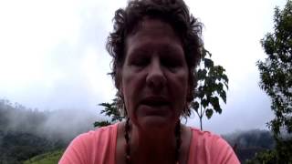 Ayahuasca experience :Testimonial by Karoline @TierraMitica, January 2016 Mythic Voyage