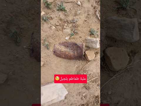 مقتنيات من عشرية السوداء 👌👍 #nature