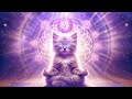 頂輪激活音樂 - 提高靈性連接與智慧的冥想頻率