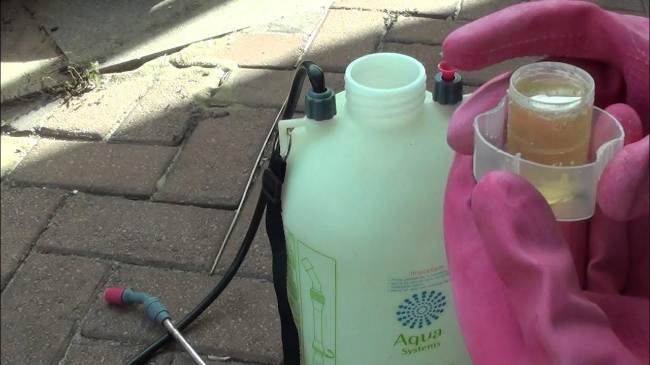 How to Mix Round Up Herbicides to Kill Bad Weeds YouTube