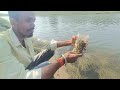 प्लास्टिक बॉटल में छोटी मछली पकड़ने का देसी तरीका 👌👌#bottlefishing #fish #fishing 