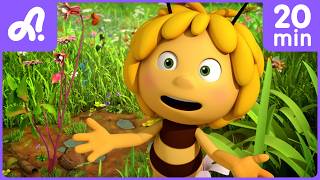maya s secret garden reveal summer adventure animaj kids