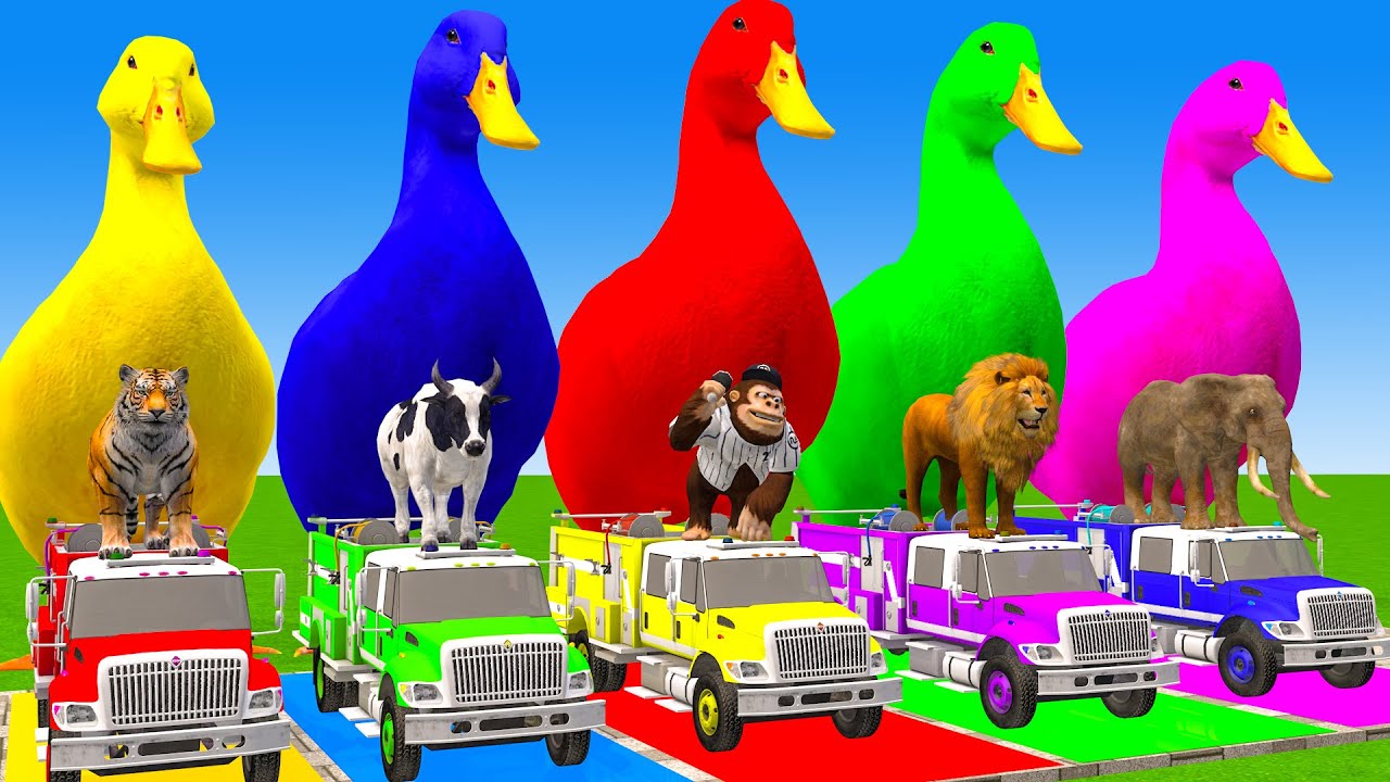 5 Giant Duck Cartoon,Cow,Elephant,Tiger,Lion,Dinosaur,Paint Wild Animals Crossing Fountain Animation