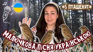 ДИТЯЧА ПІСНЯ УКРАЇНСЬКОЮ «П'ятеро пташенят»