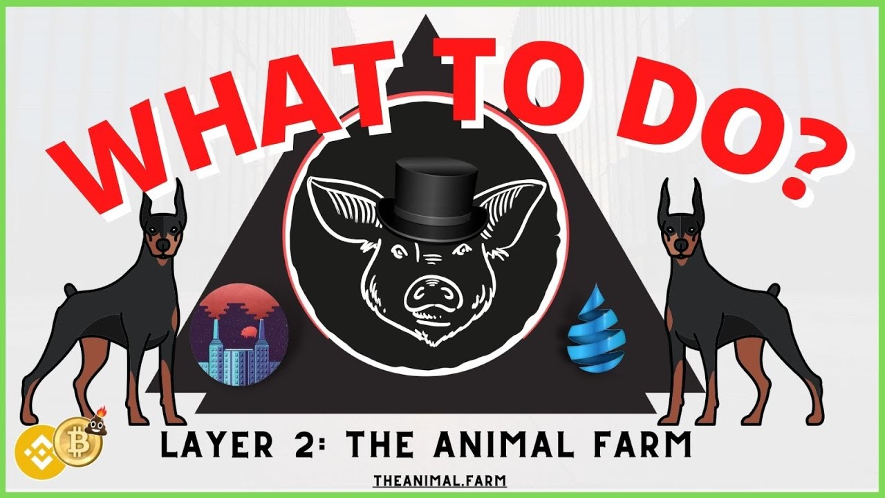 MANOR FARM! What to do in LAYER 2 ANIMAL FARM?