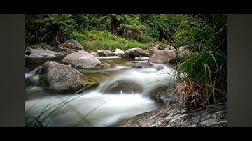 اوائل سورة مريم بصوت مجود جميل للقارئ الشيخ / محمد سعد الماجد