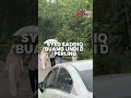 Syed Saddiq buang undi di Perling