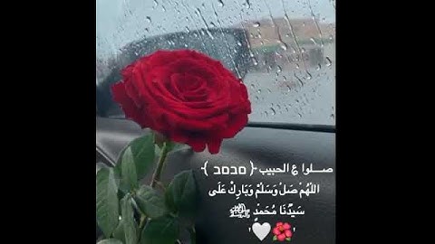 حالات واتس اب يوم الجمعه ❤🍃 مقاطع قران انستقرام //ستوريات //آيات قرانيه //بدون حقوق