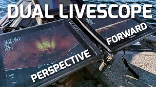 Advantage of a Dual Livescope Setup