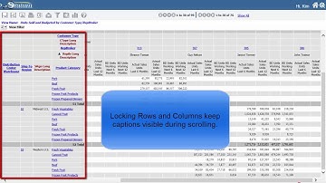 Quick Tips: Lock Row/Column Captions In Views, Stratum.Viewer Video Resources