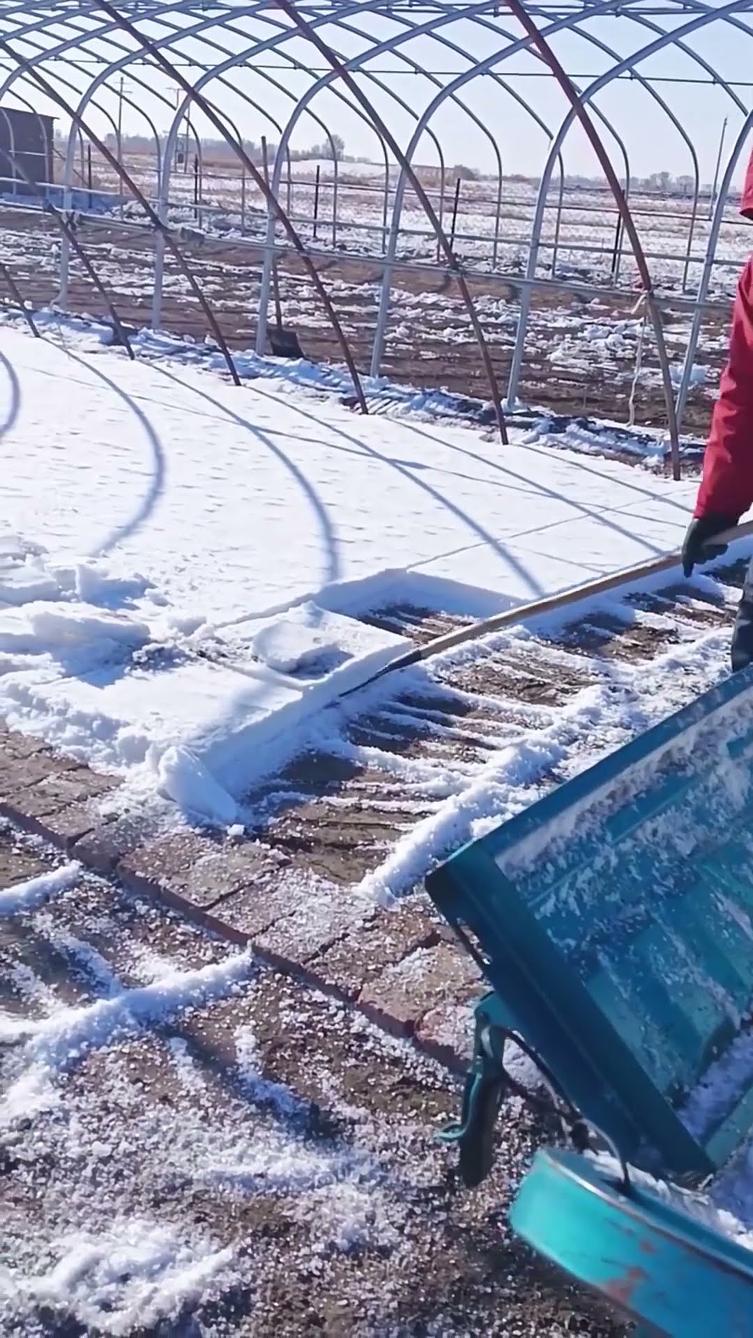 Fork freezing of snow blocks process