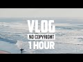 [1 Hour] - Vlad Gluschenko - Flying Leaves (Vlog No Copyright Music)