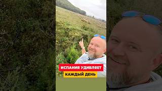 ГДЕ ПРИРОДА — ЭТО СТИЛЬ ЖИЗНИ. ДОБРО ПОЖАЛОВАТЬ В ИСПАНИЮ!