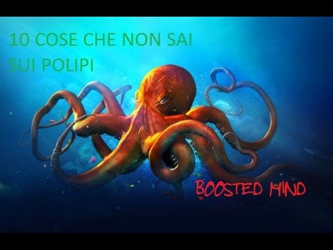 10 COSE CHE NON SAI SUI POLPI