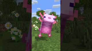 Axolotl - Minecraft animation