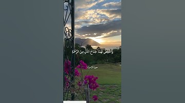 وَاخْفِضْ لَهُمَا جَنَاحَ الذُّلِّ || سورة الإسراء || علي جابر