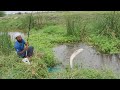 Patan Fish Catching|Wallago Fishing|Baam Fishing|Catching The 3 Types Of Fishes In Small Hook Gal