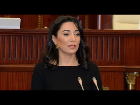 Özəl: Siyavuş Novruzovun xanımı Ombudsman seçildi