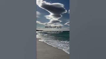 من سورة نوح 26-28 - ماهر المعيقلي #اكسبلور #quran #قرآن #راحة_نفسية #quranicarabic #quranismylife