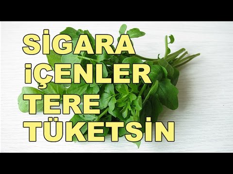 Video: Pekans Nədir Və Faydaları Nədir?