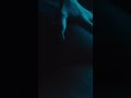 “Sex in the Porsche” Visualizer w/ Rubi out now