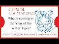 Year of the Water Tiger 2022 | Why This Year Is Special - Help & Guidance