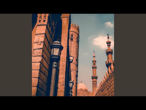 Maleket Gamal El Kon