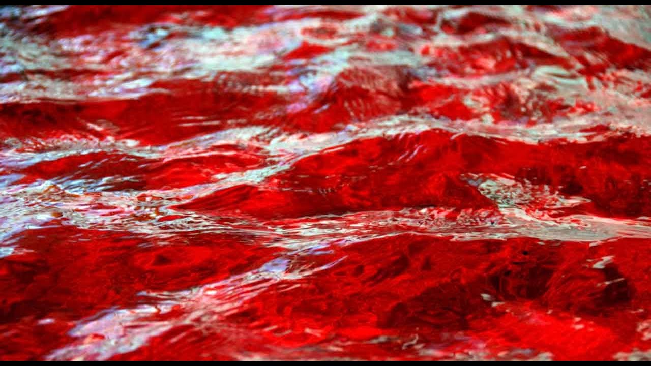 Кровь капает в воду