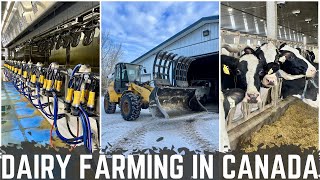 A Day In The Life Of A Canadian Dairy Farmer!