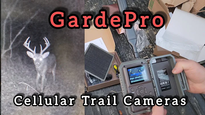You Wont Believe What This Trail Camera Captured! GardePro X60P Live Max Review