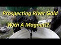 Prospecting River Gold With A Magnet!?