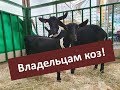 Анонс! Кетоз и экструдированные корма для коз