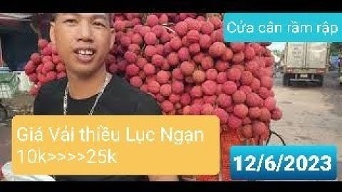 12/6 Giá Vải Thiều Lục Ngạn Đỉnh 25k - Ổn Định trên 10k l Luc Ngan lychee l Núi Đồi Lục Ngạn