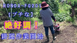 宮崎　HONDA FG201農用トラクター　管理機　歩行型 耕運機 動画あり ホンダ（HONDA） 「2年保証」 耕運機 小型 家庭用 プチな FG201 JT+