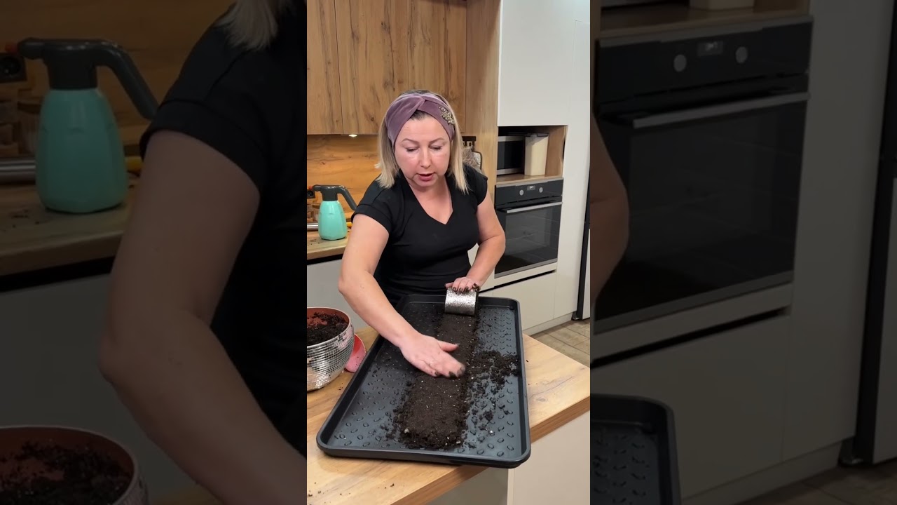 А вот и улитка с лобелией