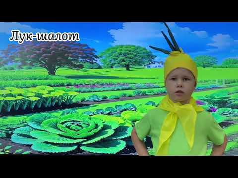 Лук. Наш веселый