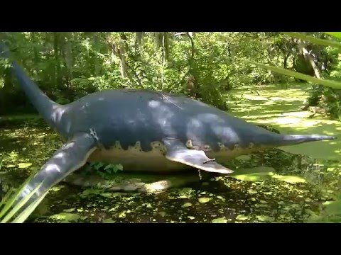 elasmosaurus at dinosaur world fl youtube elasmosaurus size