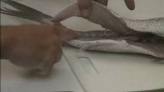 How To Fillet Fish Fillet A Fish