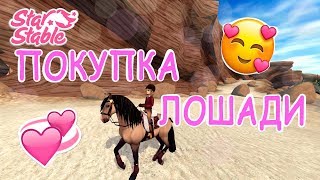 ПОКУПКА ЛОШАДИ! | Star Stable Online | Liza Star ПОКУПКА ЛОШАДИ! | Star Stable Online | Liza Star