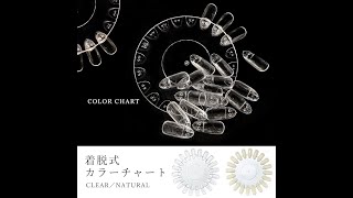 着脱式カラーチャートディスク　クリア／ナチュラル　20色チップ【T chart01 01】