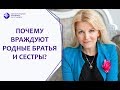 Почему враждуют родные братья и сестры