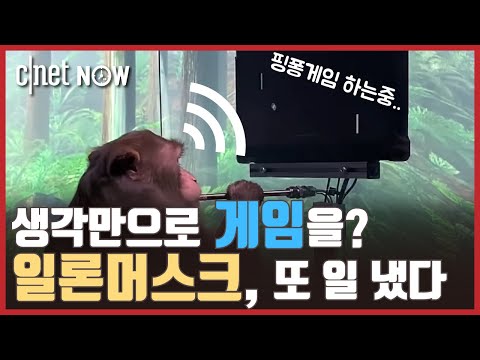 [CNET #NOW​​​​​] EP39. 원숭이 뇌에 칩 이식 성공..."생각으로 게임을 할 수 있다고?"