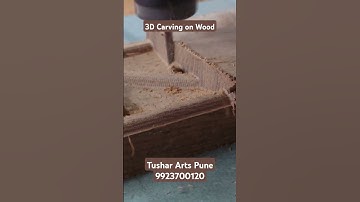 3D Carving on Wood #tusharartspune #wood #woodworking #woodwork #woodcarving #carving #3dart #3d