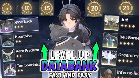 How to Level Up Databank - 0 to 21