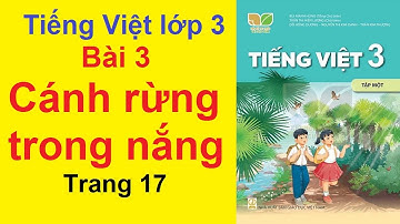 Tiếng Việt Lớp 3 Kết Nối Tri Thức Với Cuộc Sống - Bài 3 Cánh Rừng Trong Nắng - Trang 17,18