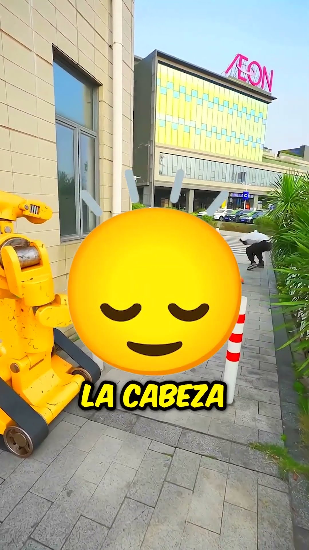 La tortuga no siguió las reglas de tránsito y luego lo que pasó ?